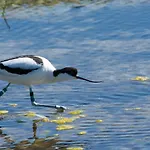 Au Rez-de-chaussee Avec Cour Fleurie, Centre Historique Du Croisic, A 900m - Fr-1-306-916 ル・クロワジック