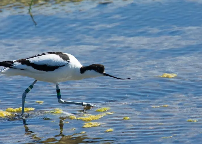 Au Rez-de-chaussee Avec Cour Fleurie, Centre Historique Du Croisic, A 900m - Fr-1-306-916 Le Croisic